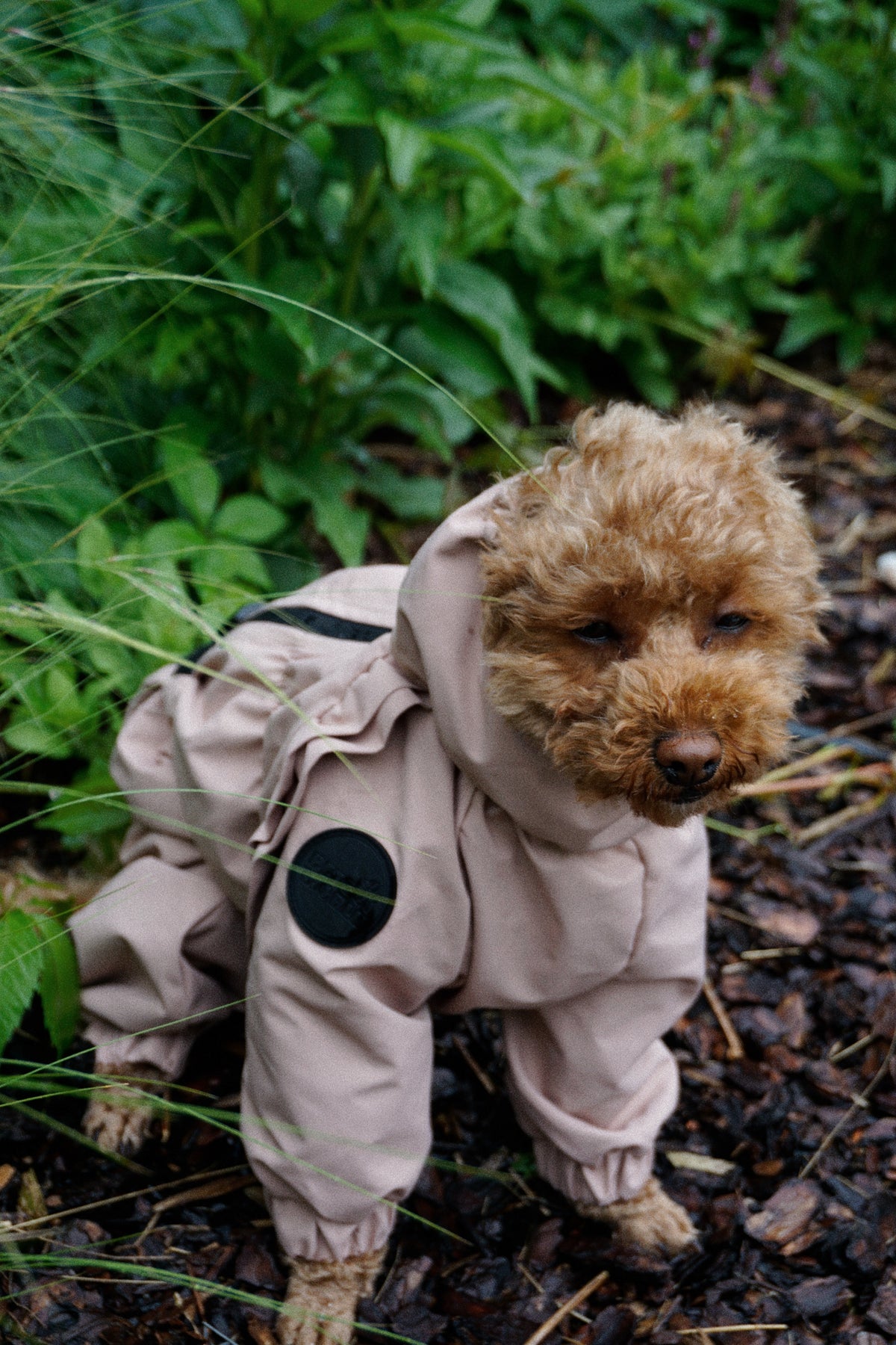 Membrane waterproof dog suite beige — Girl — Fleece