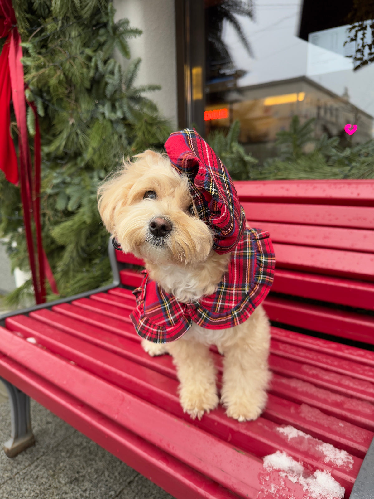 Christmas plaid beret for dogs — Red Plaid