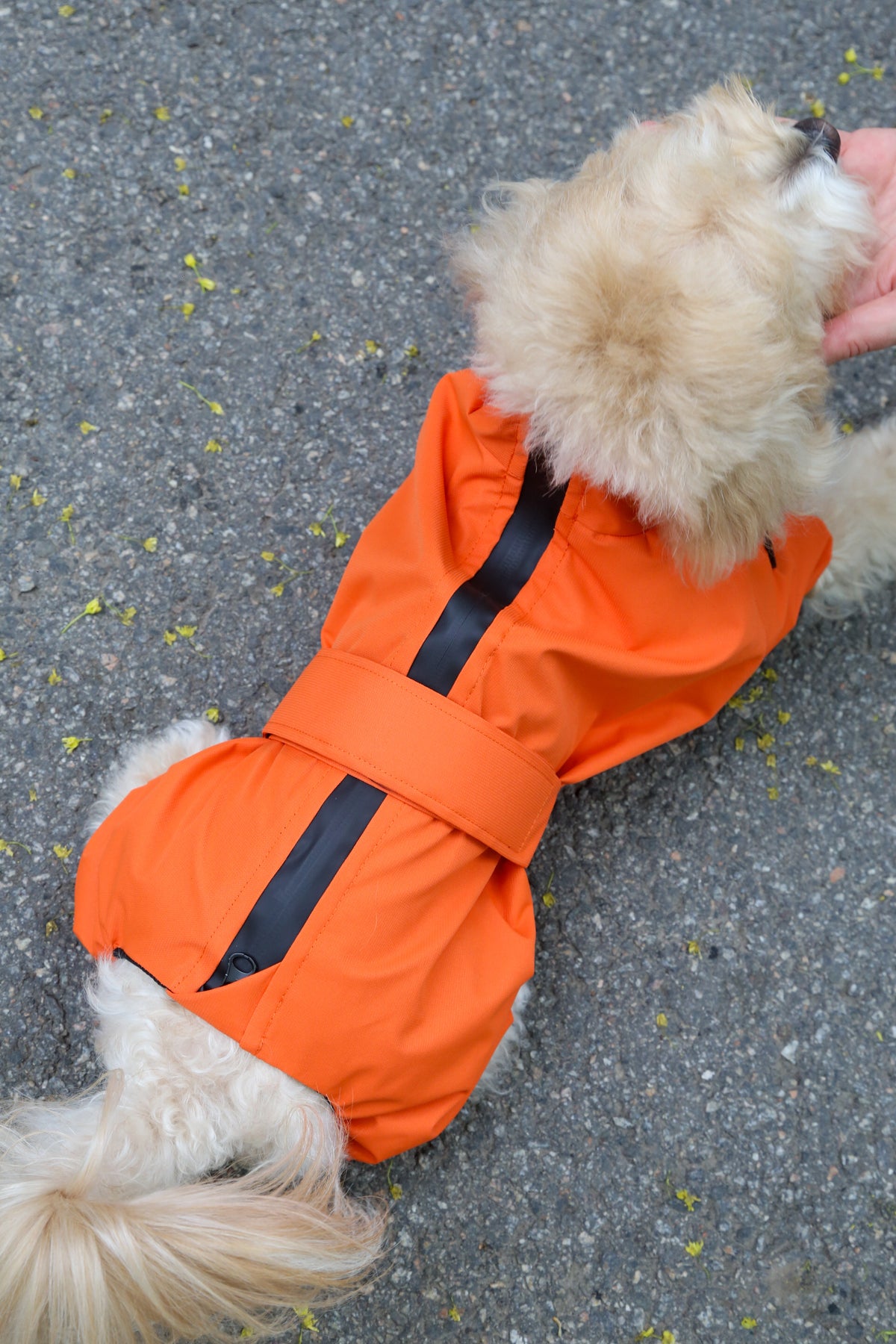 Raincoat Spring — Orange
