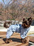 Batiste dust coat for dogs — Light Blue