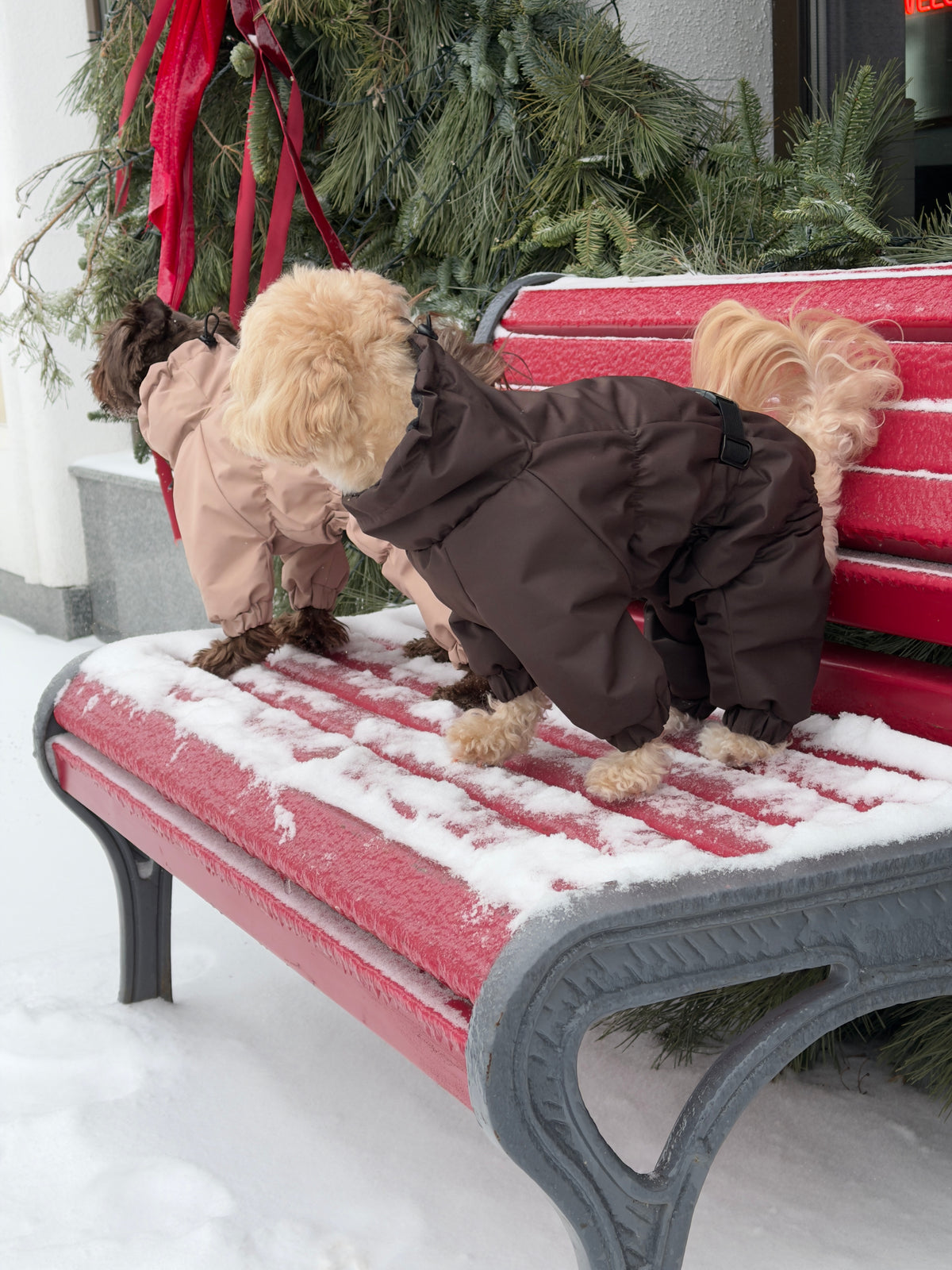 Membrane waterproof dog suite chocolate — Boy — Synthetic down insulation with fleece