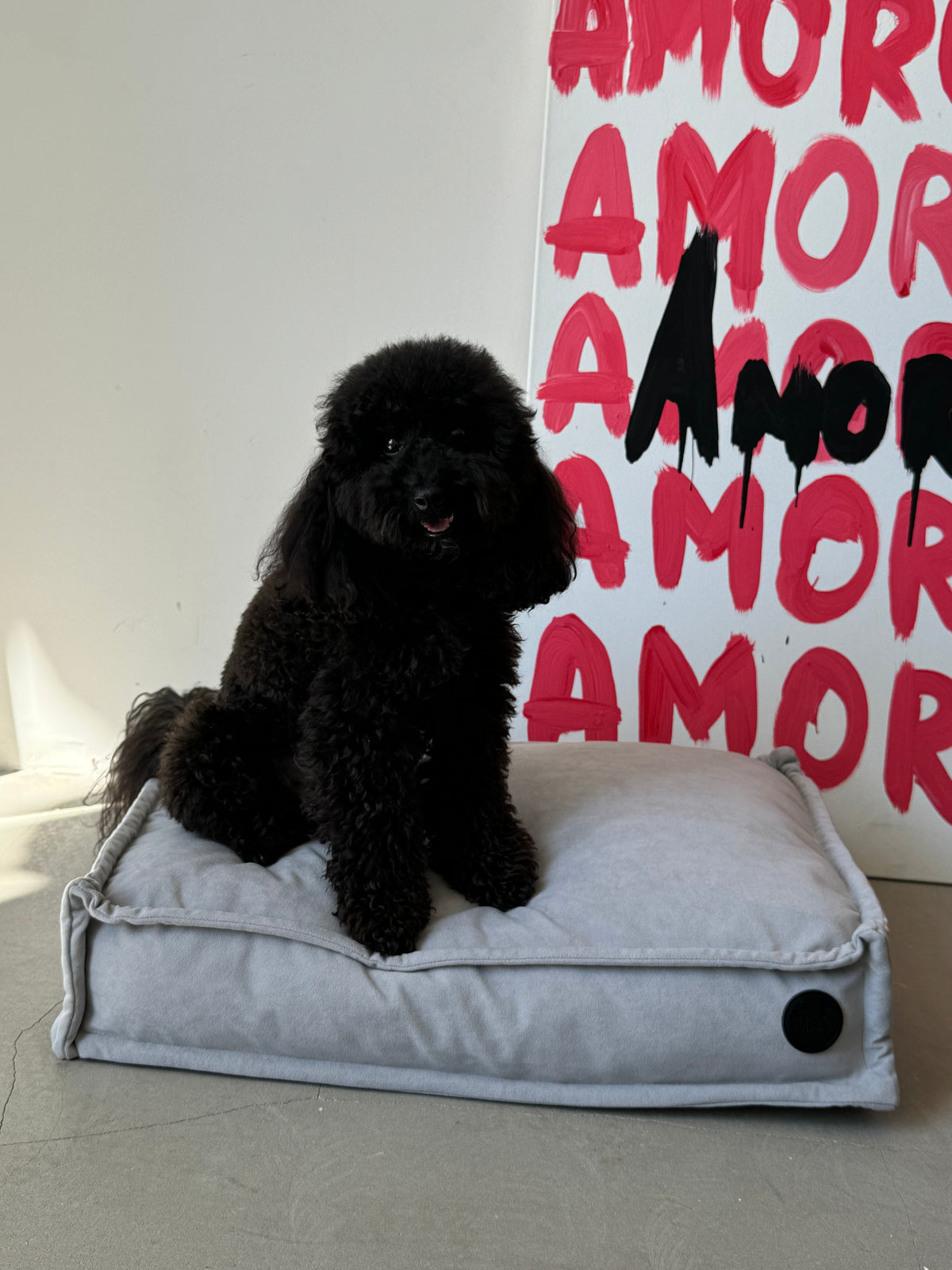 Dog pillow bed — Light Grey
