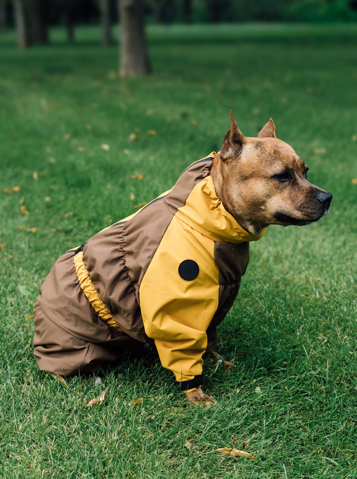 Membrane waterproof dog suite coyote mustard — Boy — Fleece