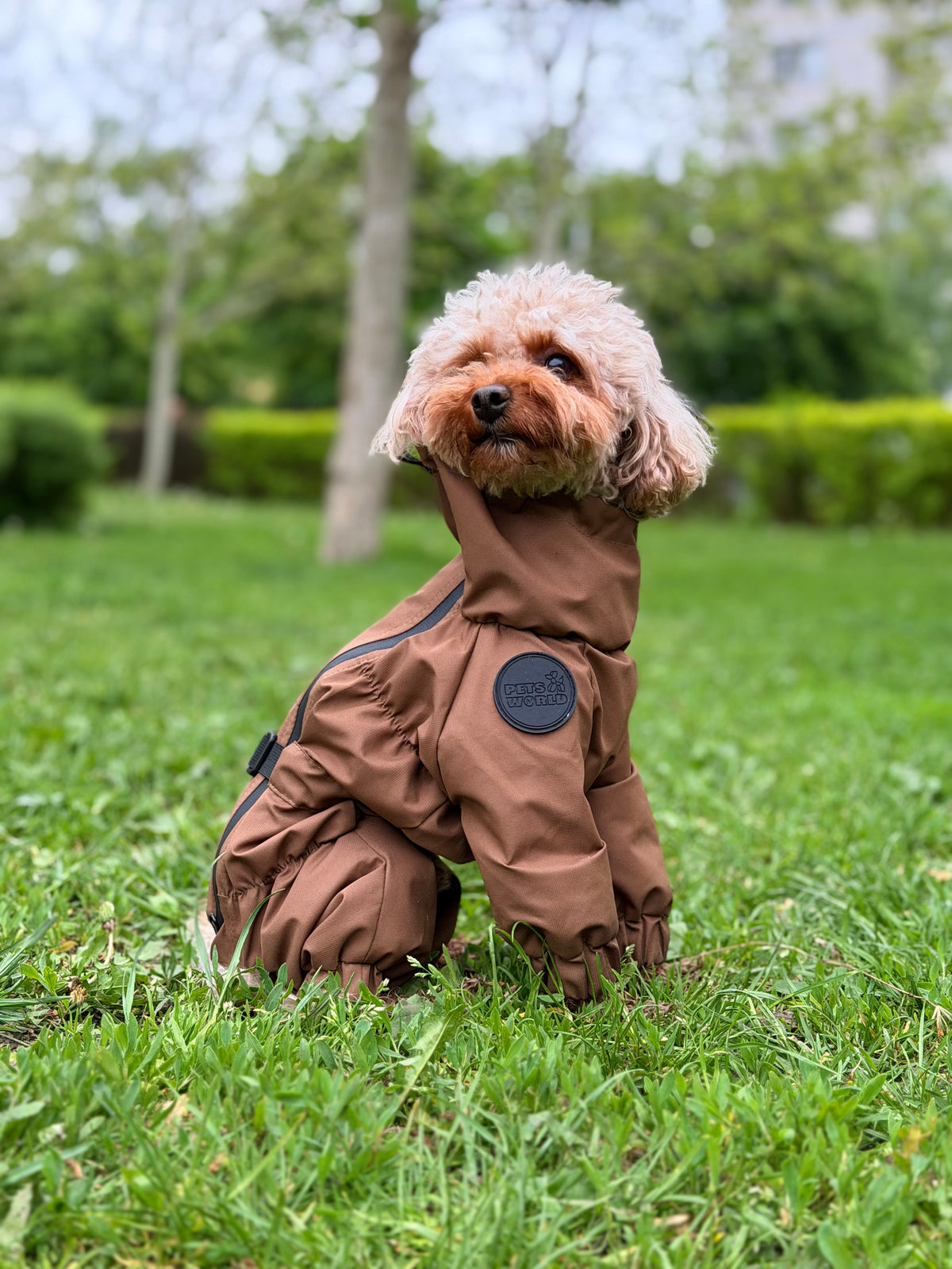 Membrane waterproof dog suite coyote — Boy — Lightweight silky