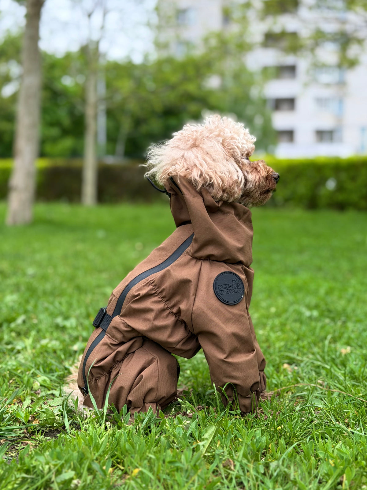 Membrane waterproof dog suite coyote — Boy — Lightweight silky
