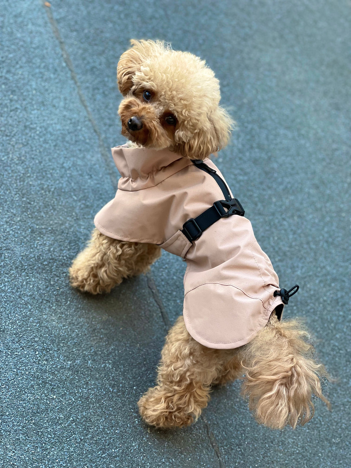 Membrane fleece dog blanket coat — Beige