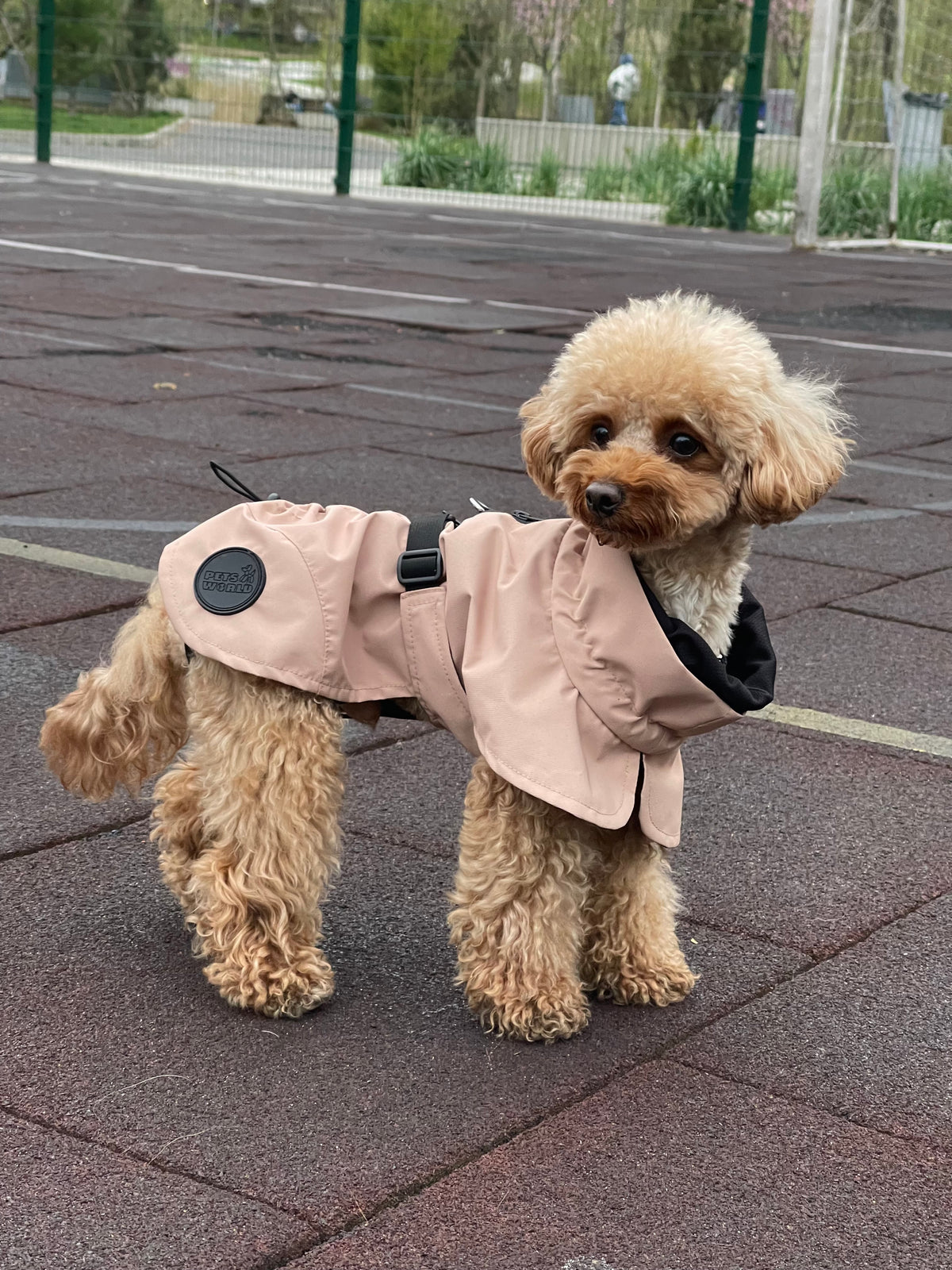 Membrane fleece dog blanket coat — Beige