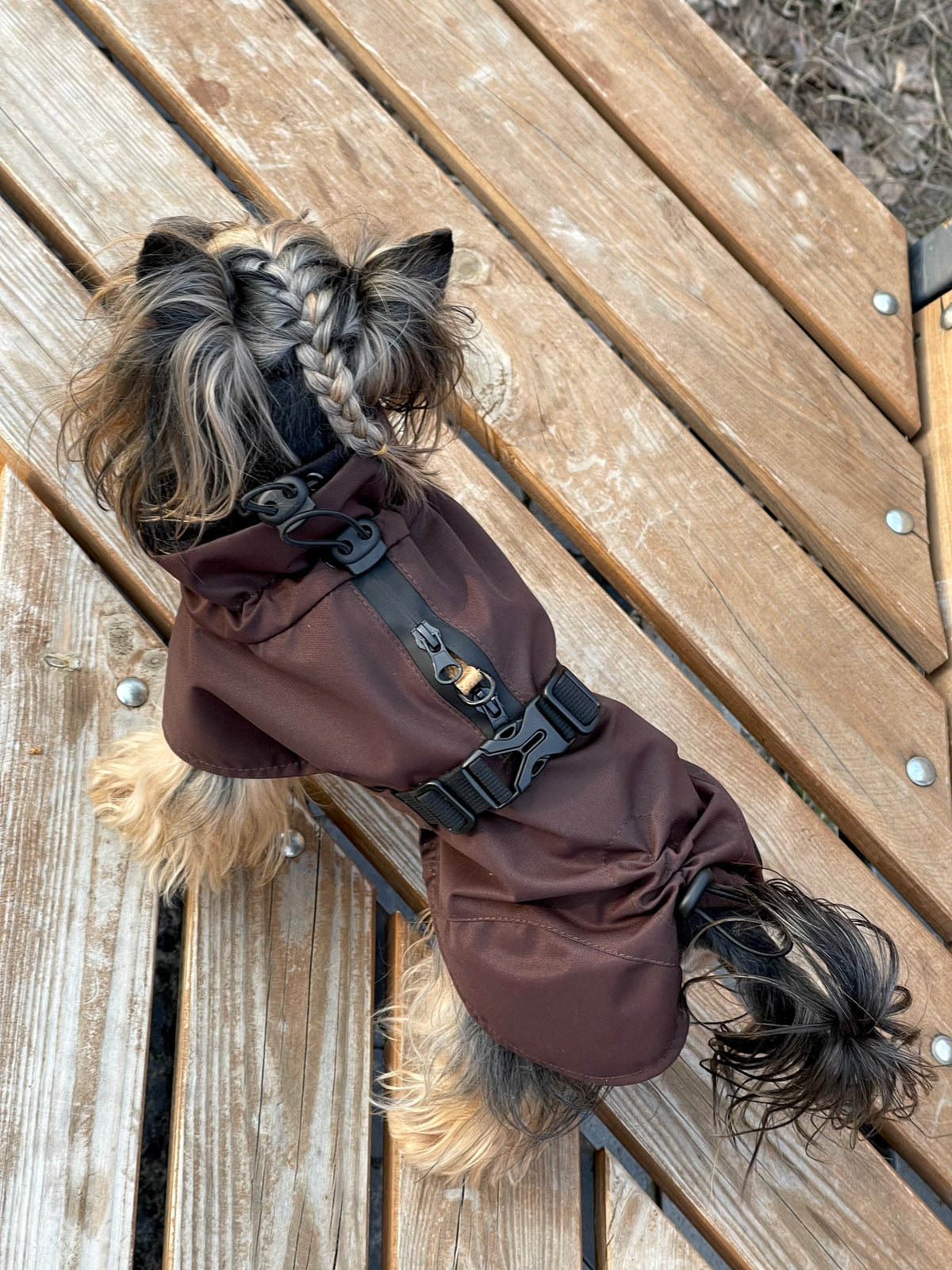 Membrane dog blanket coat — Chocolate