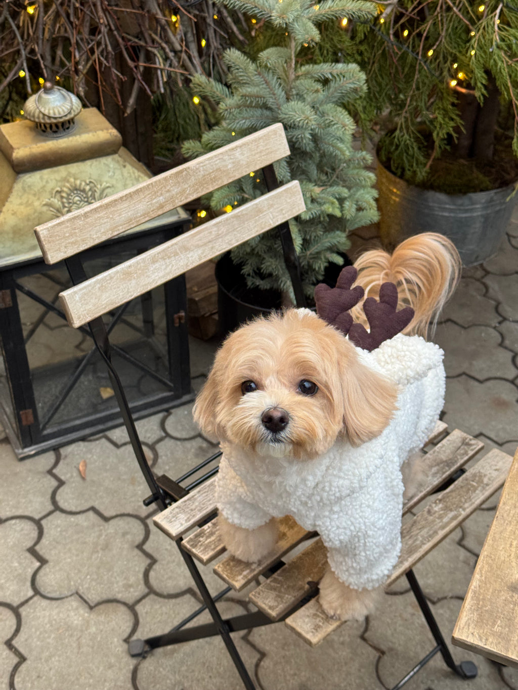 Christmas "Little Deer" hoodie for dogs — Milky White