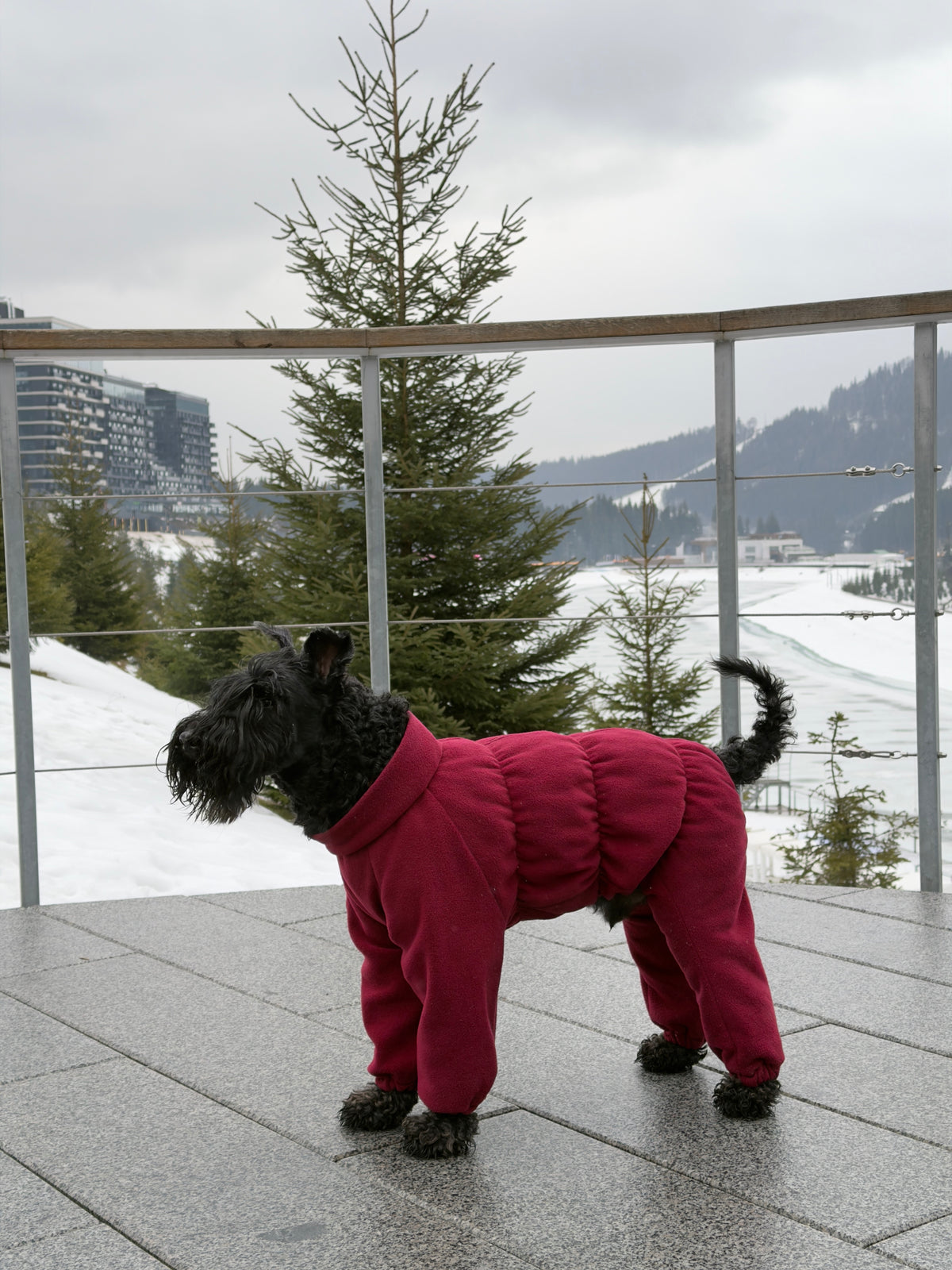 Fleece jumpsuit no-zipper (small breeds) — Burgundy