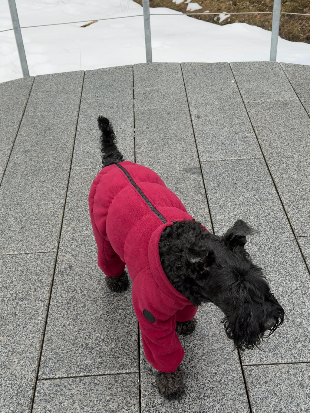 Fleece jumpsuit no-zipper (small breeds) — Burgundy