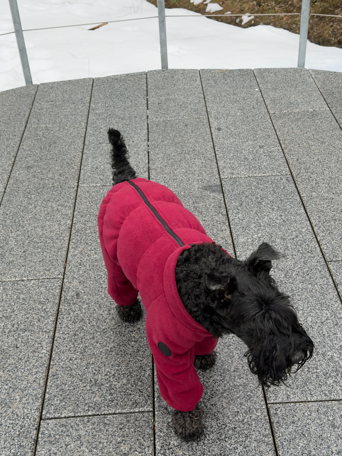 Fleece jumpsuit no-zipper (small breeds) — Burgundy