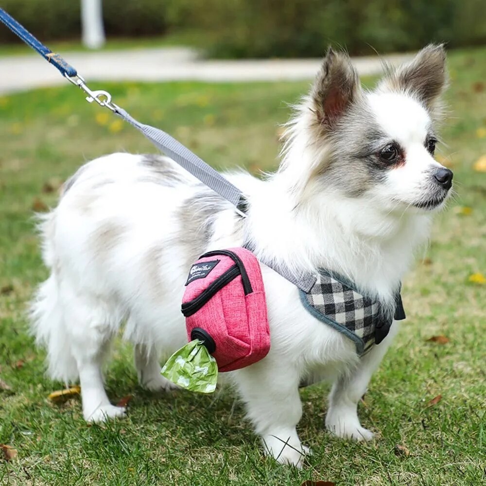 Borsa per l'addestramento del cane