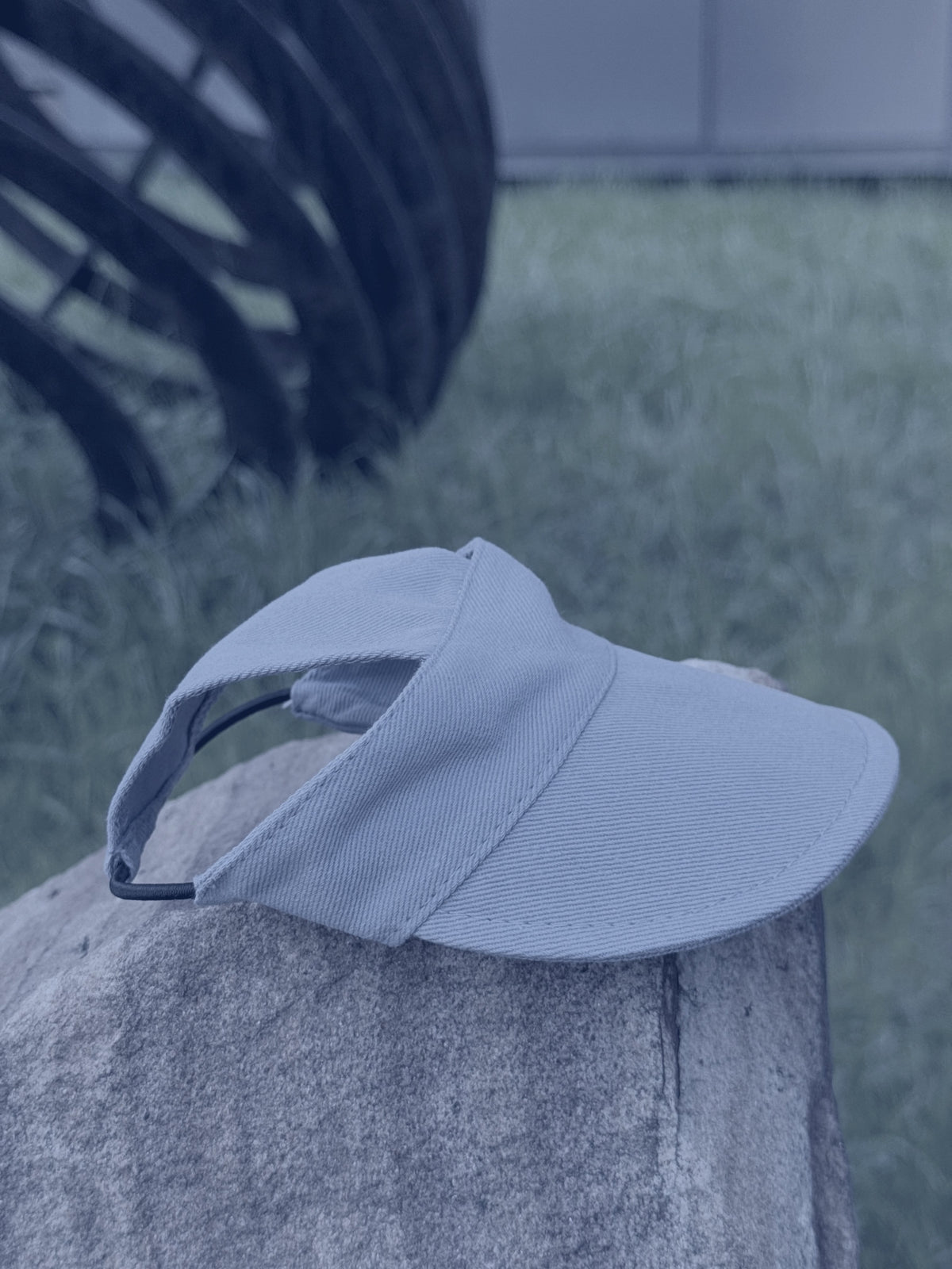 Dog cap — Blue Plaid