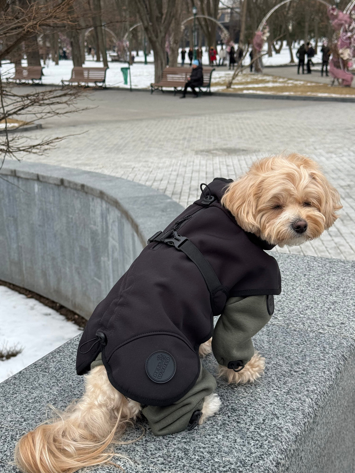 Чорний