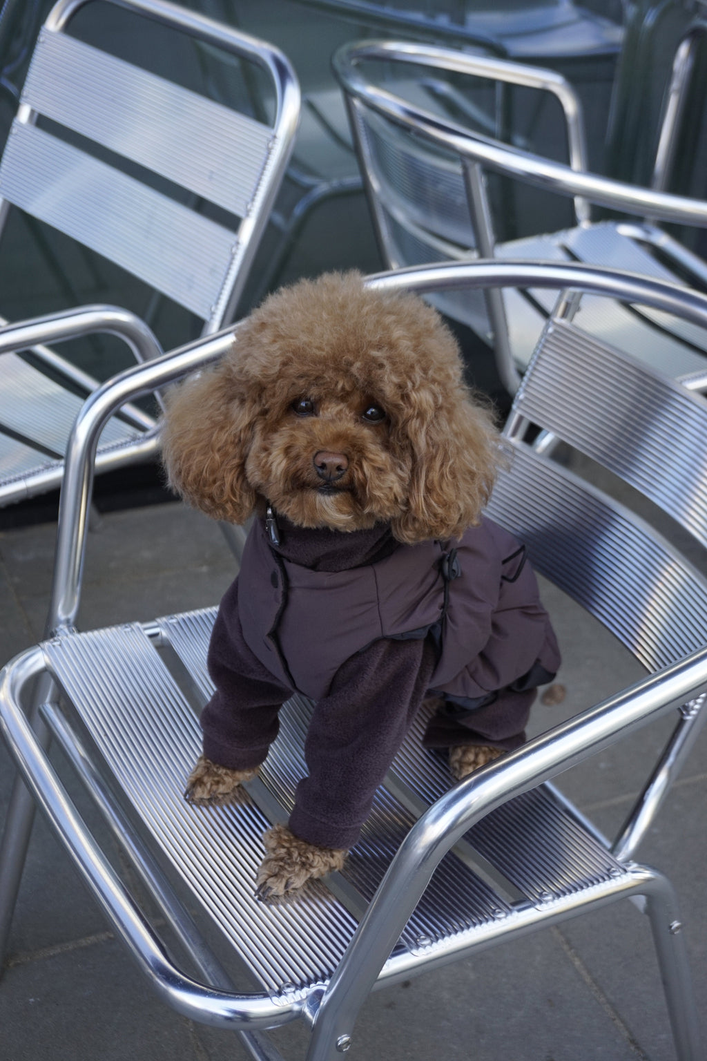 Шоколад