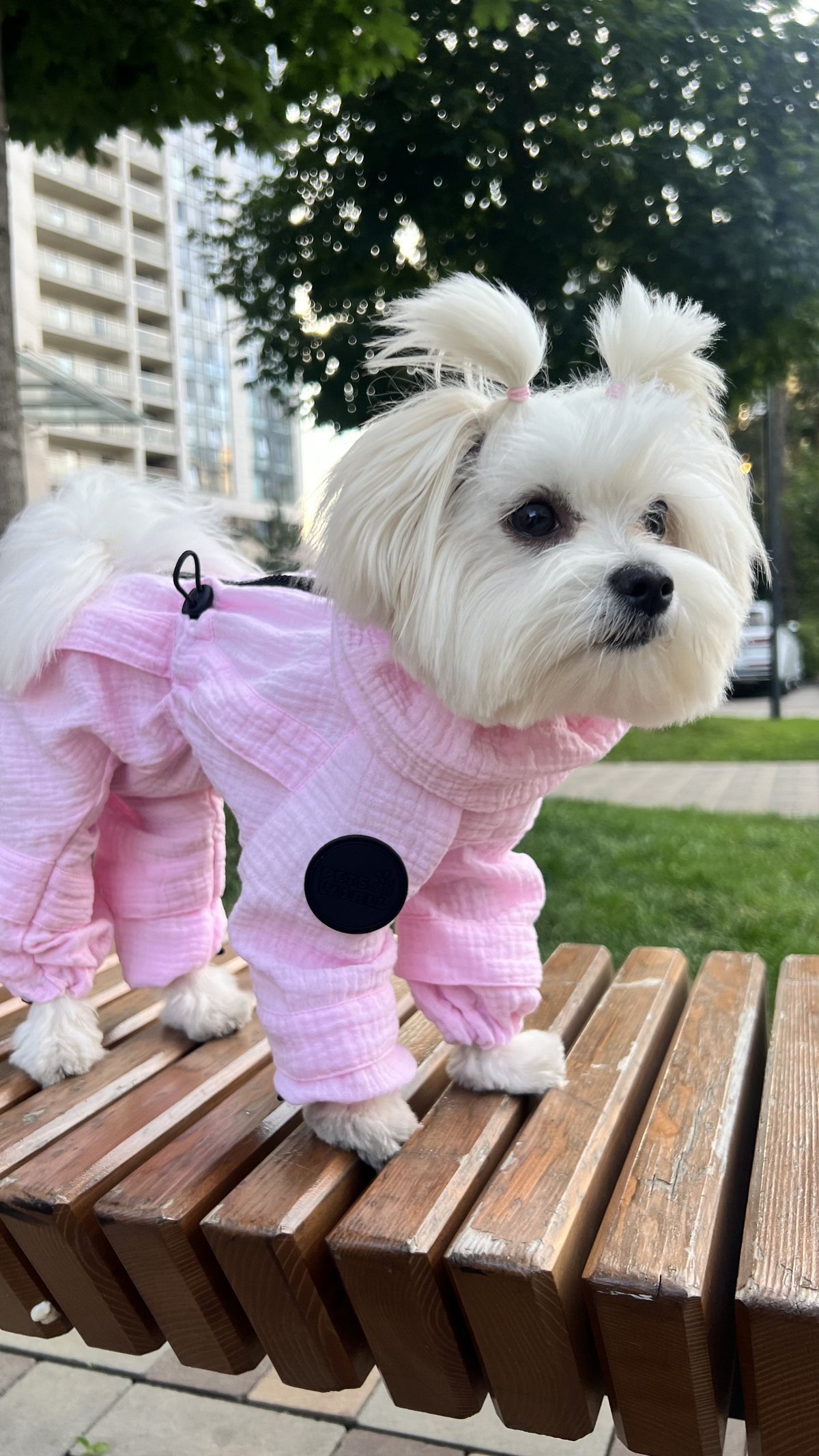 Рожевий