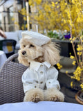 Білий
