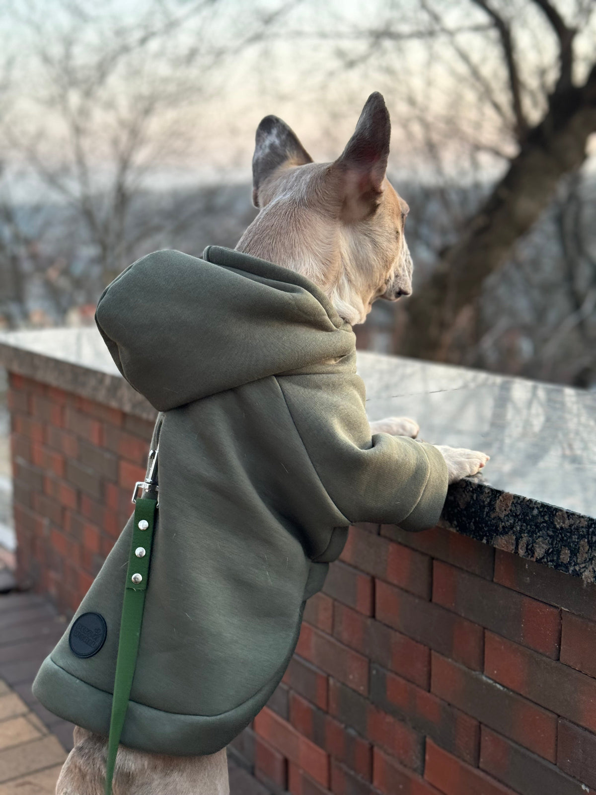 Хакі
