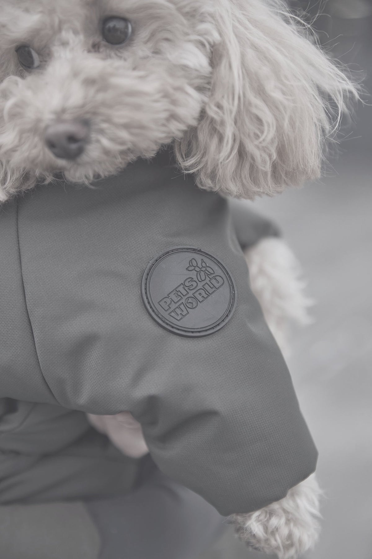 Raincoat Spring reflective